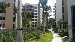 Palm Isles (D17), Condominium #204463431
